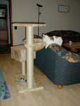 Klicken ldt groes Bild